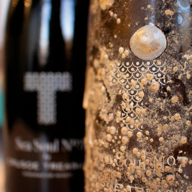 Duet Sea Soul Case No. 7 – White Sea vs Land