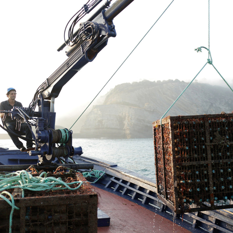 Sea Brave - Sparkling Wine