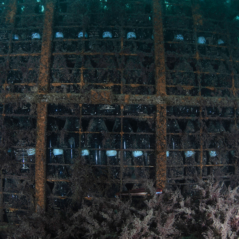 Duet Sea Soul Case No. 7 – White Sea vs Land