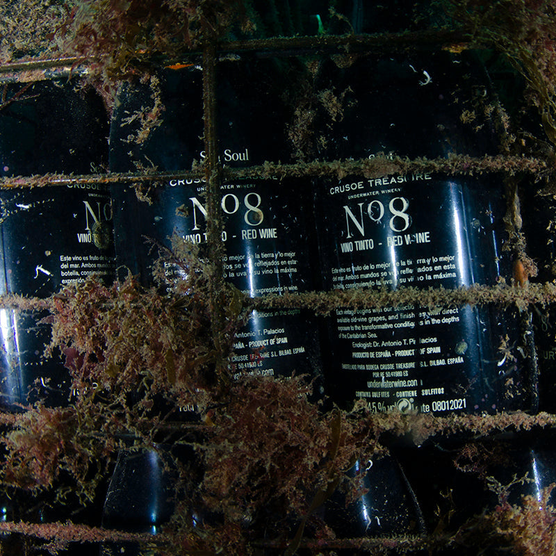 Sea Soul Nº8 – Red